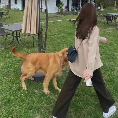 贪婪四重奏