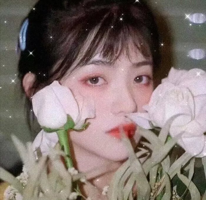 理智与情感